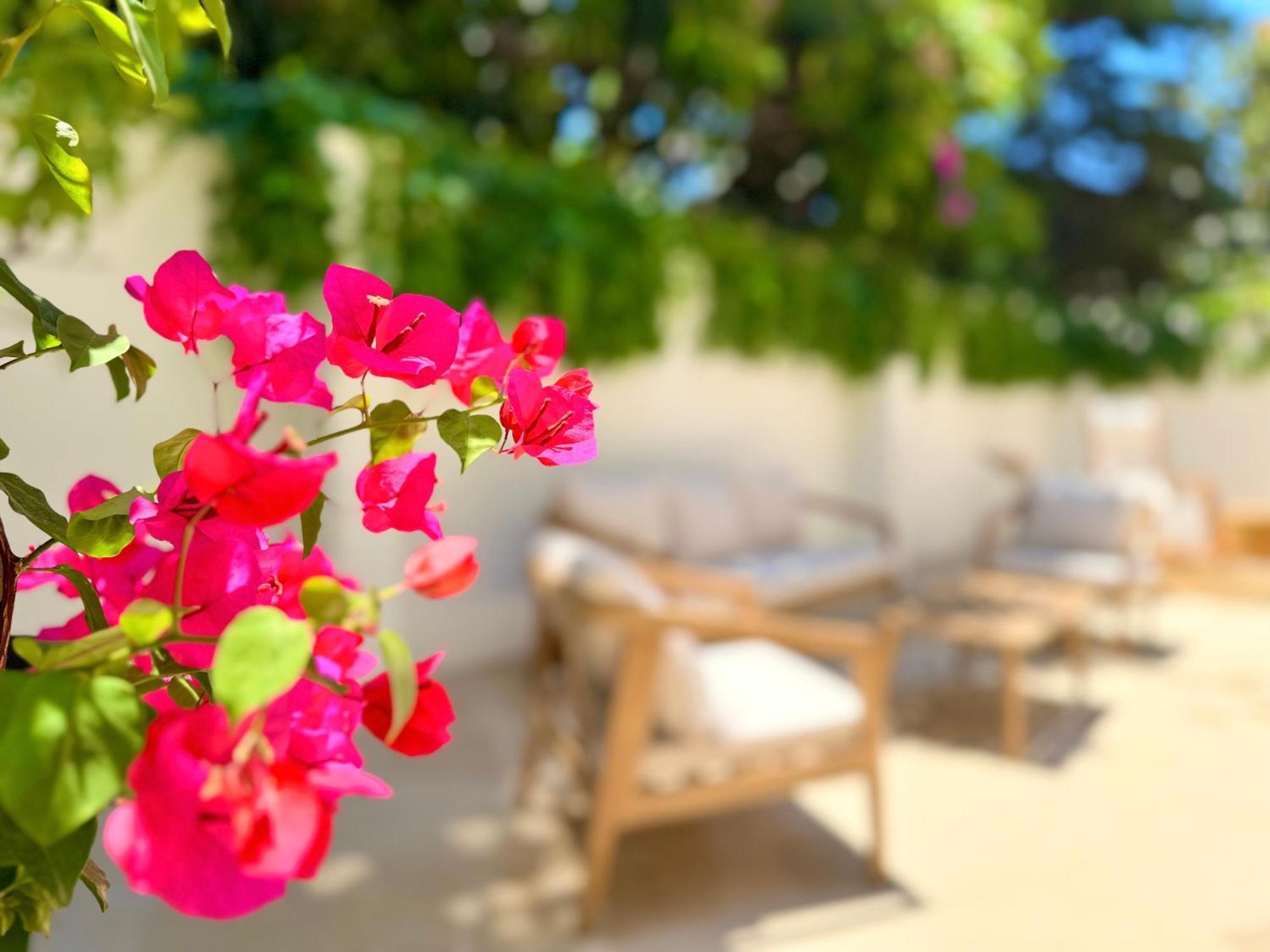 Carbone XXI Bed & Breakfast คาตาเนีย ภายนอก รูปภาพ